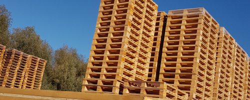 Kisten en kratten - Van Leyen pallets : Van Leyen pallets